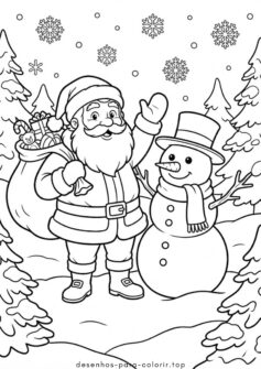 Boneco de neve e Papai Noel