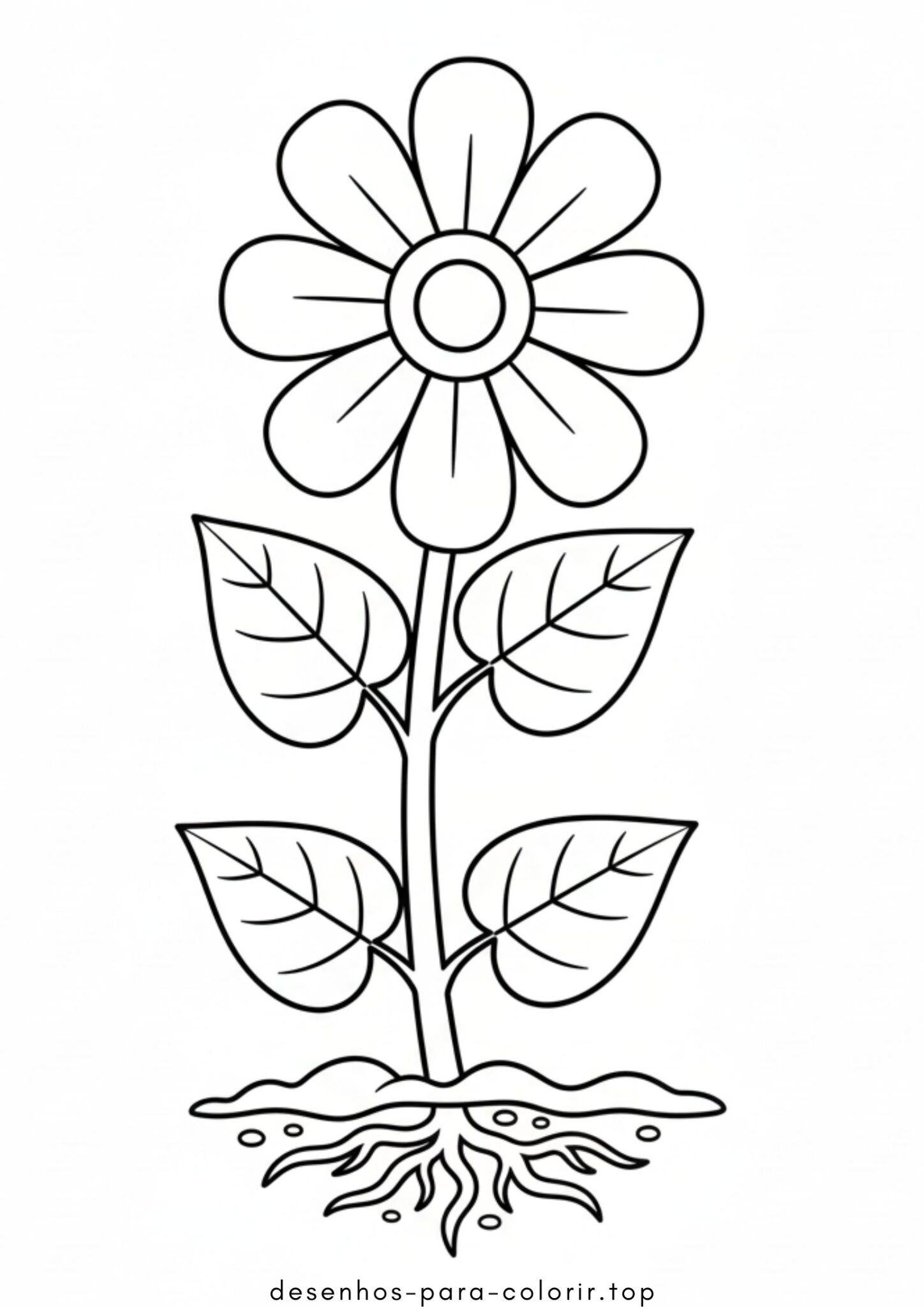 Desenhos de Partes da Planta para Colorir